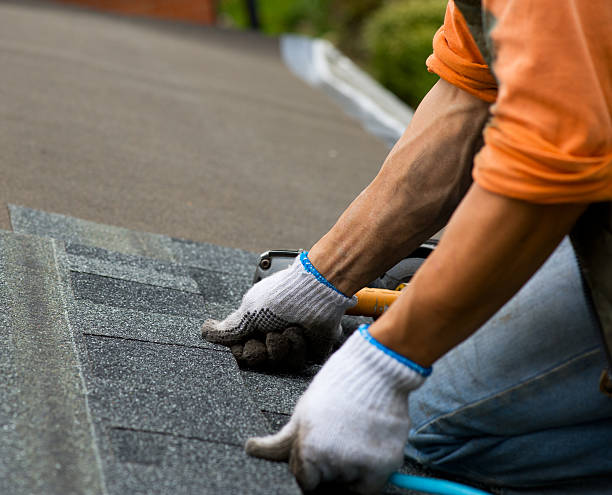 Quick and Trustworthy Emergency Roof Repair Services in Dover, DE